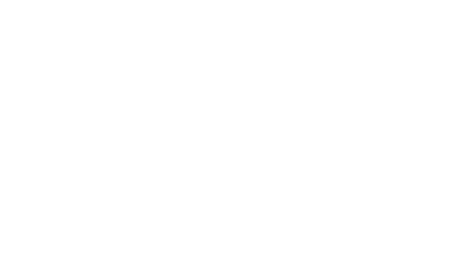 Snap Media